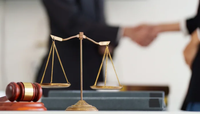 Expert witness and litigation support